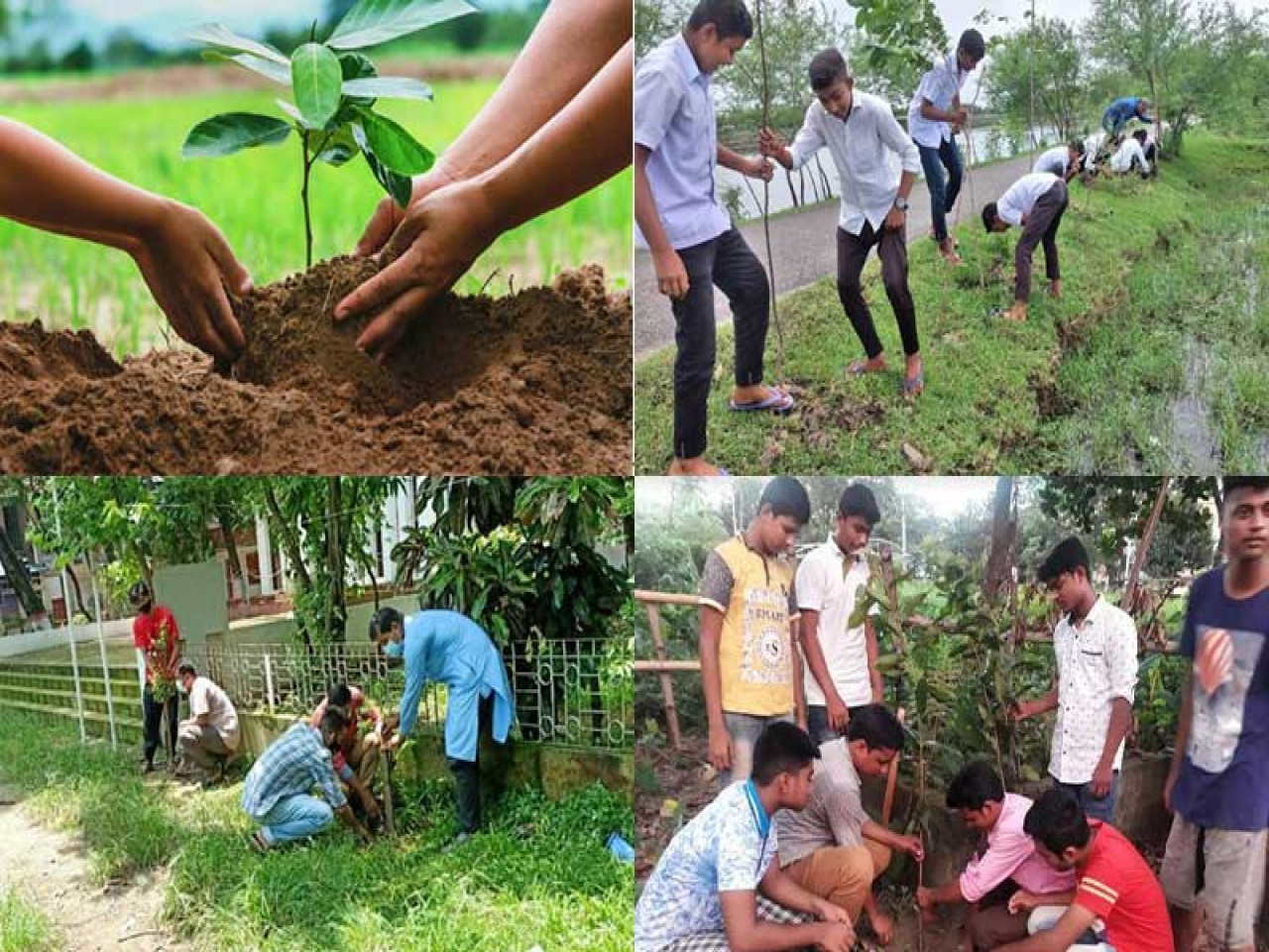 PLANTATION FOR ENVIRMENT PROTECTION:-Plantation work with tree guard (2No.)